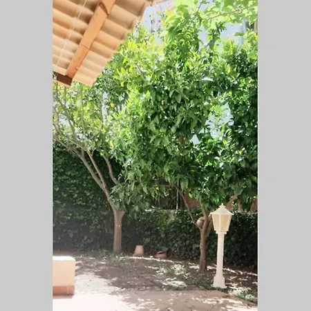 Family House For 6 People In Valldemossa *